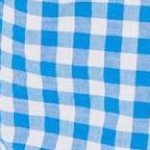 bright cobalt gingham