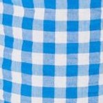 bright cobalt gingham