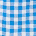 bright cobalt gingham