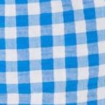 bright cobalt gingham