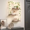 Attop Hanging Shelves for Wall with Vine Lights, 3 Tier Rope Wall Hanging Plant Shelf, Boho Wall Decor Aesthetic - 3 of 4