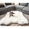PAW BRANDS PupRug Animal Print Memory Foam Dog Bed Cover (Bed not included) - 3 of 3