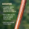 Brazos Rustic Wood Walking Stick, Sassafras, Traditional Style Handle, for Men & Women, Made in the USA, 55 - 3 of 4