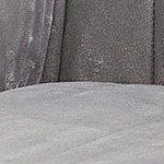 wild dove grey