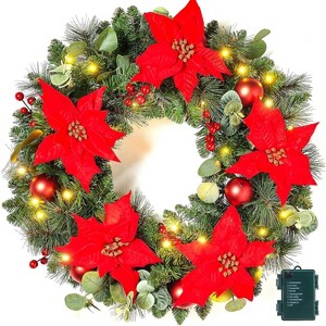 24 Inch Prelit Artificial Christmas Wreath, for Front Door with LED Lights, Pine Cones, Pine Needles, and Red Berries - 1 of 4