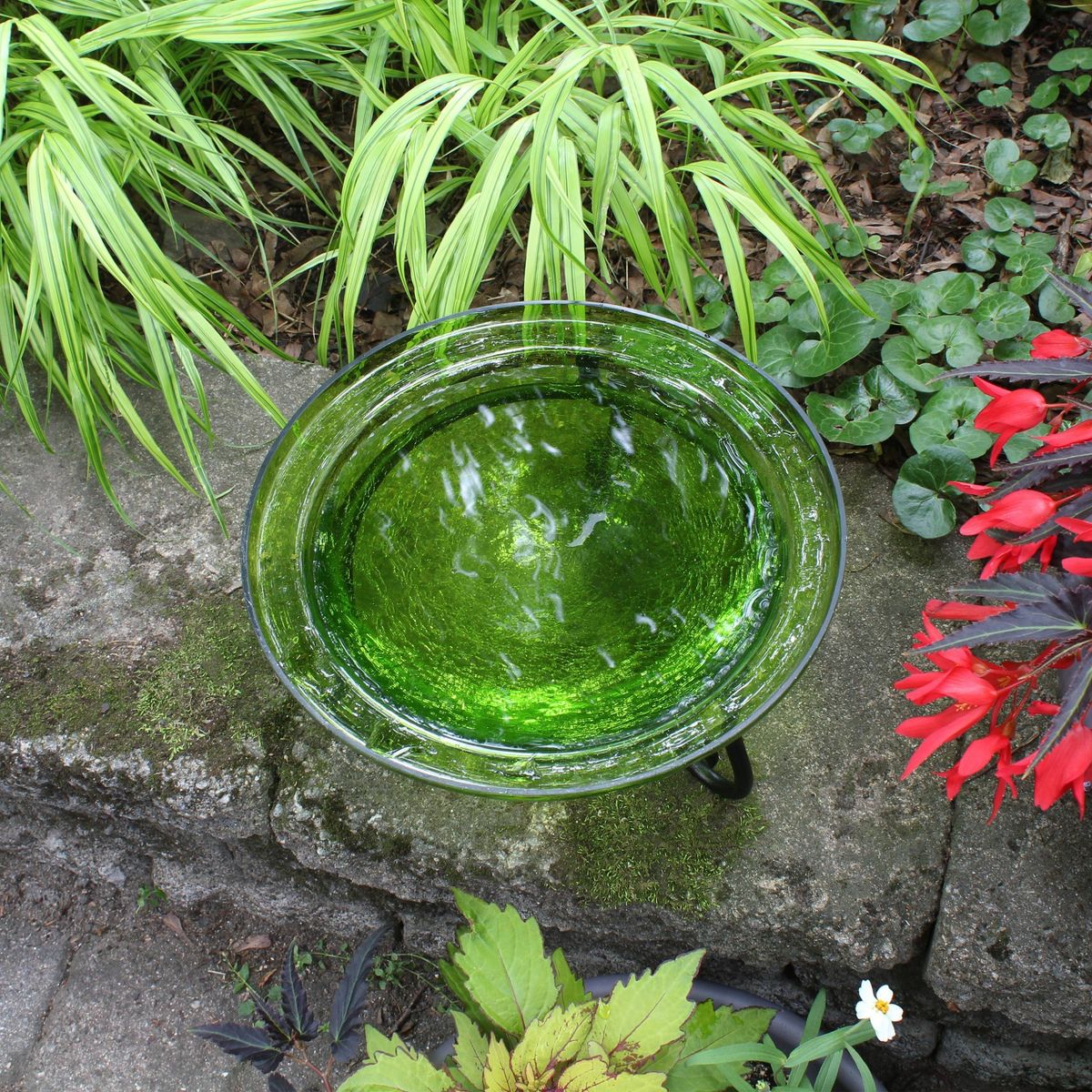 7" Reflective Crackle Glass Birdbath Bowl with Short Stand - Achla Designs: - thumbnail 6