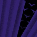 baltimore ravens