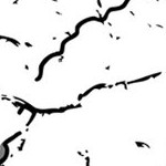 stone cold steve austin