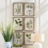 Plum & Post Shade Garden Study, Set Of 6 - 4 of 4