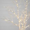 Nearly Natural 35-in Pre-Lit Artificial White Birch Branches with 80 Warm White LED Lights - Set of 2 - 4 of 4