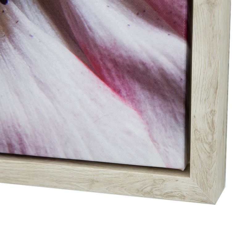 38&#34; x 25&#34; &#39;Anemone II&#39; Photo by Veronica Olson Printed on Canvas Framed - Yosemite Home Decor, 4 of 8