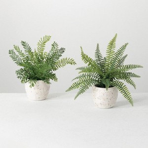 Sullivans Artificial 13" Potted Fern Plant - Set of 2 - 1 of 3