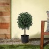 National Tree Company 24" Boxwood Single Ball Topiary in Nursery Pot Artificial Tree: Faux Plant Decor, No Maintenance Required - 2 of 3
