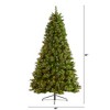 Nearly Natural 7.5-ft Golden Tip Washington Pine Artificial Christmas Tree with 600 Clear Lights, Pine Cones and 1568 Bendable Branches - 2 of 4
