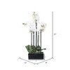 Vickerman Artificial Orchid Arrangement - image 2 of 2