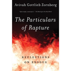 The Particulars of Rapture - by  Avivah Gottlieb Zornberg (Paperback) - 1 of 1