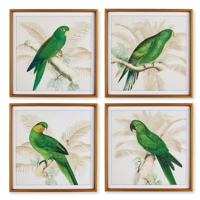 Plum & Post Green Parrots Study Set of 4