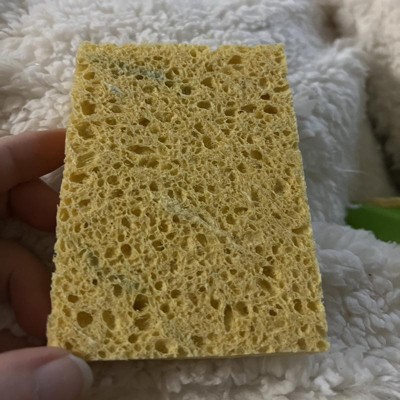 Large Sponge by O-Cel-O at Fleet Farm