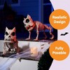 Joyfy 2 PCS 16" Halloween Poseable Animal Puppy Skeleton Decor, Dog Plastic Bones with Posable Joints for Graveyard Party Prop Decor - 3 of 4