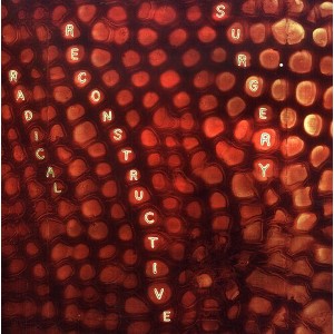 Scotty Hard Radical Reconstructive Surgery - Scotty Hard's Radical Reconstructive Surgery - John Medeski and Matthew Shipp (CD) - 1 of 1
