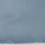coastal white