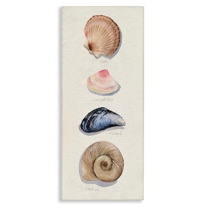 Stupell Industries Traditional Nautical Sea Shells, 13" x 30" - 1 of 4