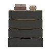 NicBex 4-Drawer Dresser Closet Organizers with Storage Chest of Drawers for Living Room, Bedroom - image 3 of 4