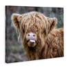 Stupell Industries Baby Cattle Licking Lips, 20" x 16" - 3 of 4