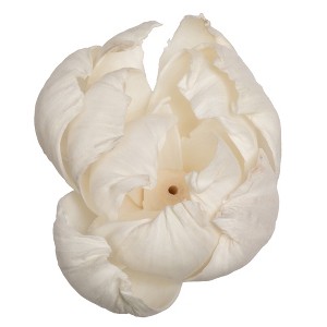 Vickerman 1-3" Natural Botanicals Assorted Natural Dried Sola Flower Head - 1 of 3