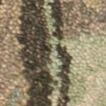 brown/beige