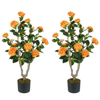 orange