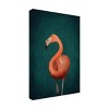 Canvas Wall Art - Aureous   'Green Flamingo' Wall Art for Living Room, Bedroom, or Office Décor by Trademark Fine Art - 2 of 4