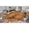 Rugs America Nash HC28 Animal Contemporary Area Rug - 4 of 4