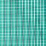 tidal green check