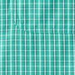 tidal green check