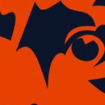 chicago bears