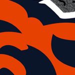 chicago bears