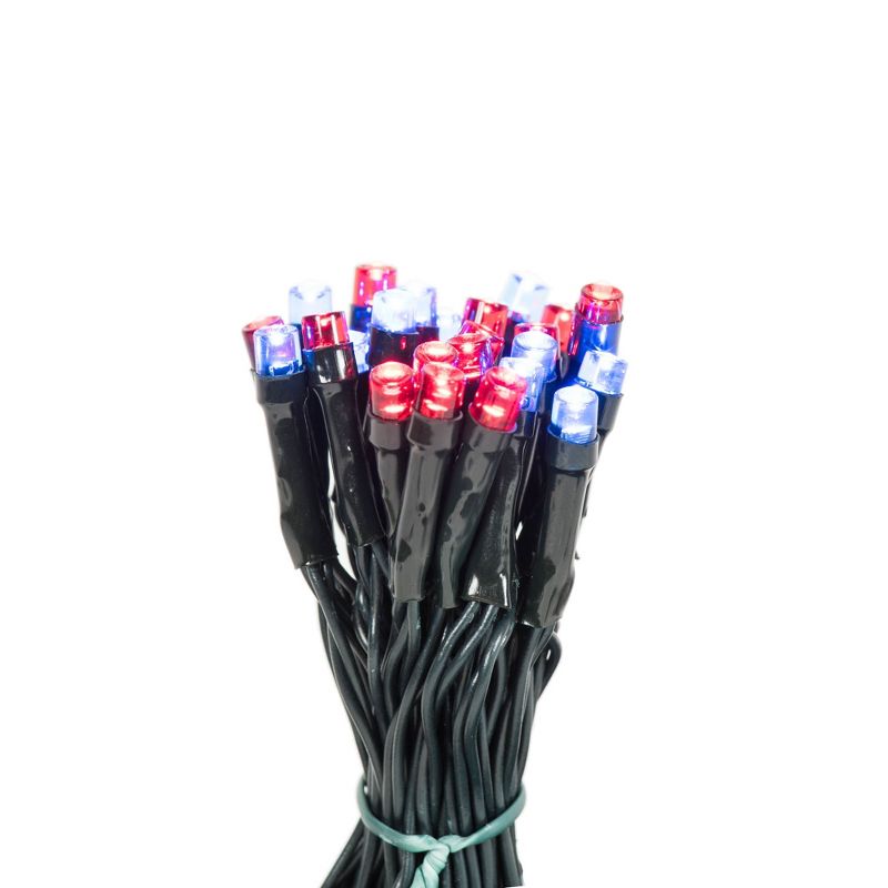 Vickerman Battery Operated LED Lights, 3 of 5