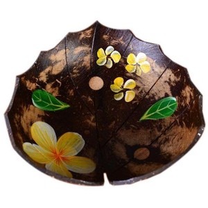 Chery Life Coconut Shells Leaf Shape Soap Dish, Hand-painted Flowers Jewelry Holder - 1 of 2