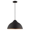 Livex Lighting Metal Shade 1 - Light Chandelier in  Black - 2 of 4