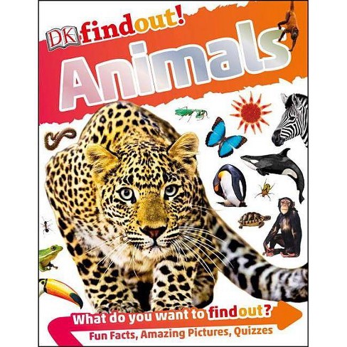 Dkfindout! Animals - (dk Findout!) By Dk (paperback) : Target