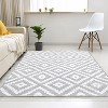 Kitchen Runner Rug, Black Washable Distressed Trellis Non-Slip Low Pile Farmhouse Carpet for Entryway Hallway Front Door - 3 of 4