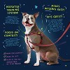 2 Hounds Design Freedom No Pull Dog Harness | Adjustable Gentle Comfortable Control for Easy Dog Walking | 5/8" SM Royal Blue - 3 of 4