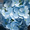 Sullivans Artificial Blue Cone Hydrangea Spray 34"H - 2 of 2