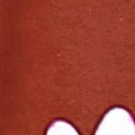 plumeria floral autumn maroon