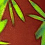 plumeria floral autumn maroon