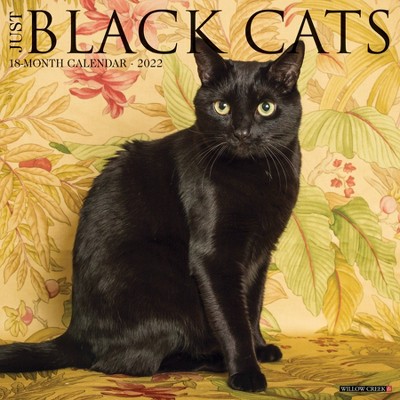 2022 Wall Calendar Just Black Cats - Willow Creek Press