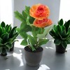 Unique Bargains Artificial Plants Two-Headed Lotus Bonsai Plastic 2.95"x2.95"x9.06" 1 Pcs - 2 of 4