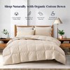 Puredown All Season 100% Organic Cotton Down Duvet Insert Medium Warmth Comforter - 2 of 4