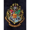 Harry Potter Girls' Hogwarts Houses Crest Raglan Pajama Nightgown-All Houses - 3 of 3